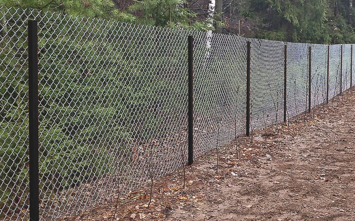 Заборы из сетки-рабицы